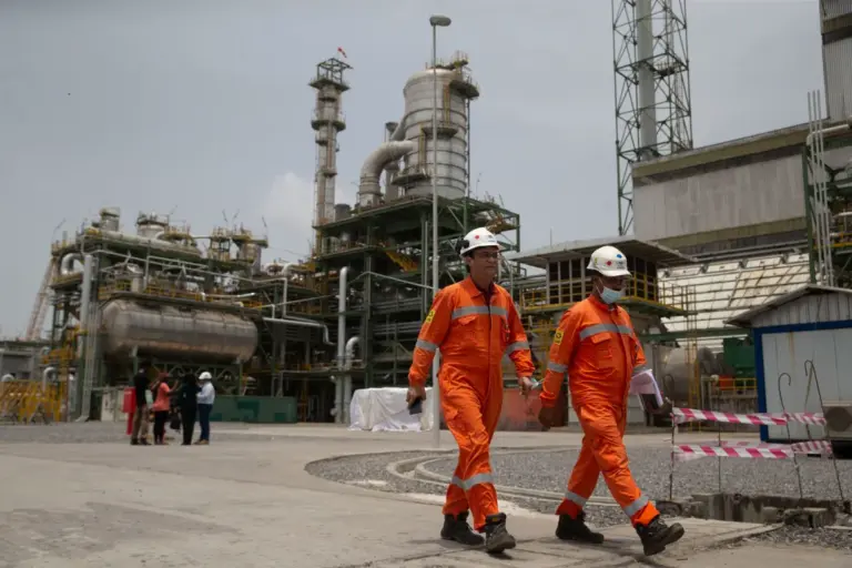 Dangote Doubles Investment in Ethiopia Fertiliser Project dangote fertilizer plant 0322 768x512