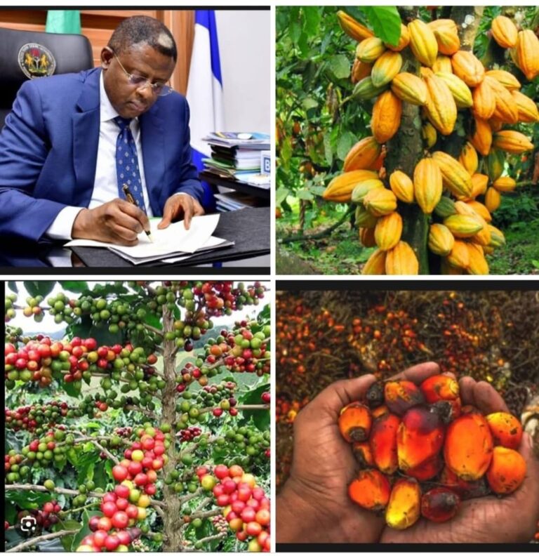 Cross River Targets ₦150bn Agribusiness Investment Deal