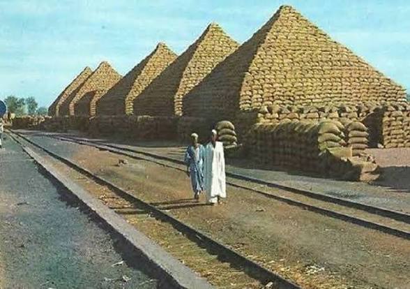 When Groundnut Pyramids Defined Nigeria’s Economy