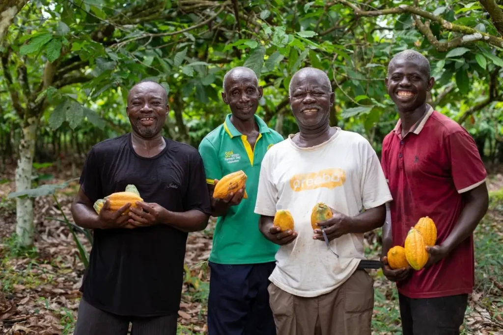 THIS WEEK, VOL. 3: Ghana Cocoa Financing • South Africa Manganese Export Corridor • Tanzania Msalato Airport • DRC Fibre Network • Chad Solar & Battery Storage