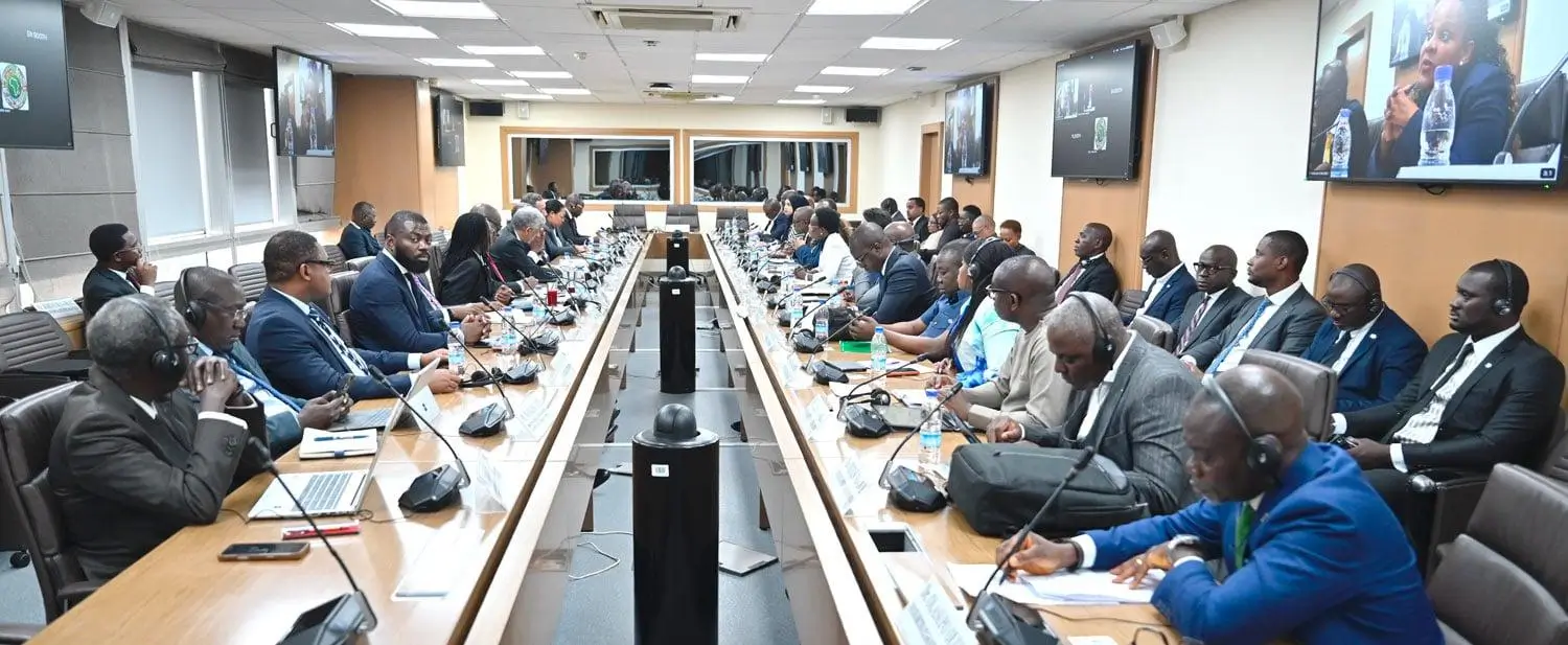 African infrastructure and investment leaders