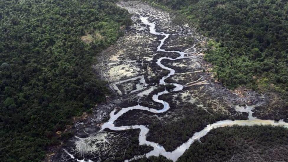 Aerial view of oil-polluted creeks and mangrove vegetation in the Niger Delta