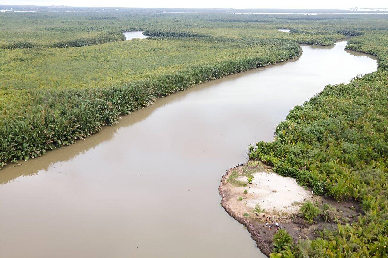 Wide aerial view of a Niger Delta creek and mangrove landscape